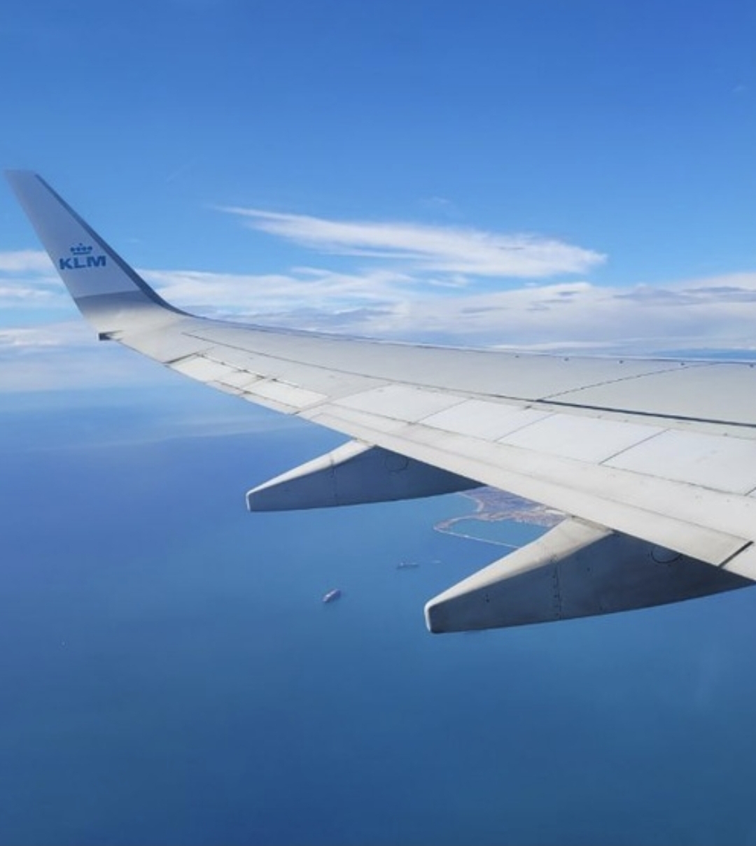 Helene - BoaBet Manager